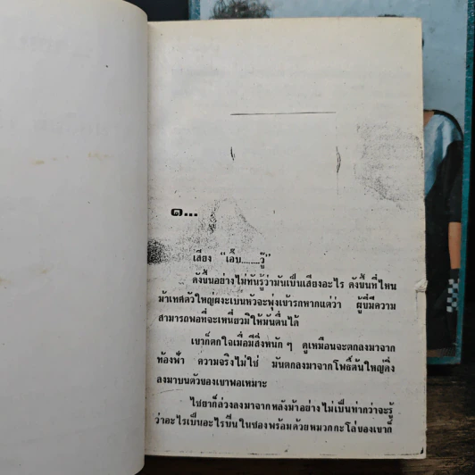 นางแมวป่า 2 เล่มจบ - ช่อลิลลี่ พริ้มเพรา รูปที่ 7