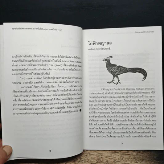 วิทยาศาสตร์สำหรับเยาวชน ชุด สัตว์น่ารู้ นก รูปที่ 9
