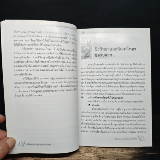 มิติใหม่ของการกำจัดปลวกแบบไร้สารพิษ รูปที่ 9