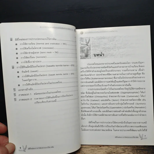 มิติใหม่ของการกำจัดปลวกแบบไร้สารพิษ รูปที่ 8