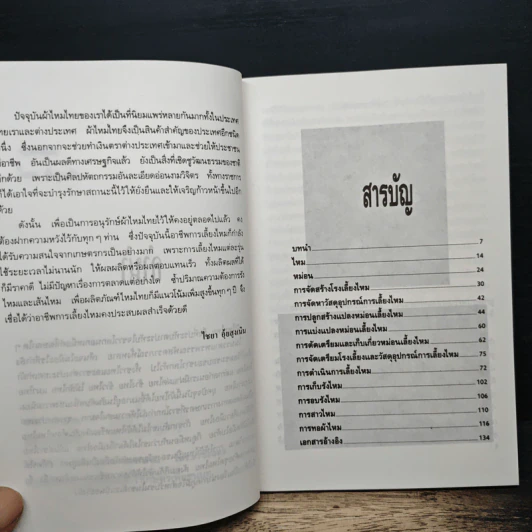 หม่อมและไหม - ไชยา อุ้ยสูงเนิน รูปที่ 7