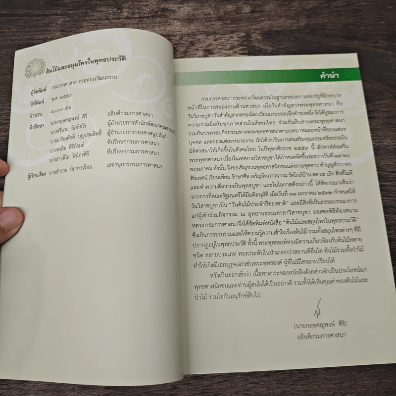 ต้นไม้และสมุนไพรในพุทธประวัติ รูปที่ 6