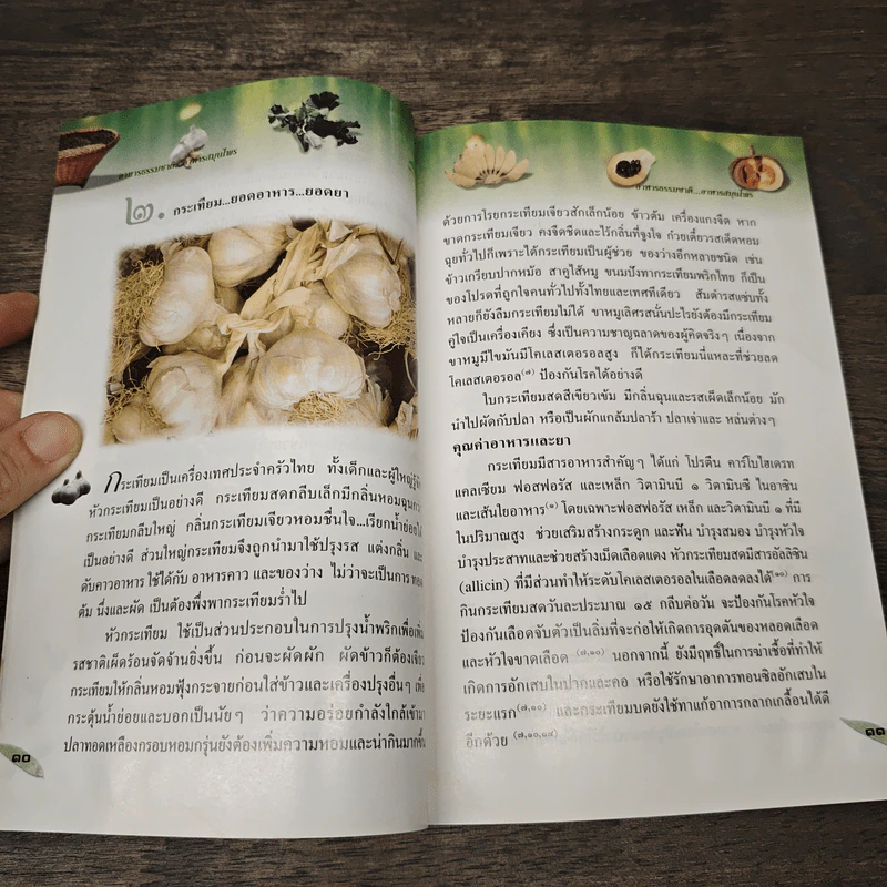 อาหารธรรมชาติ อาหารสมุนไพร รูปที่ 9