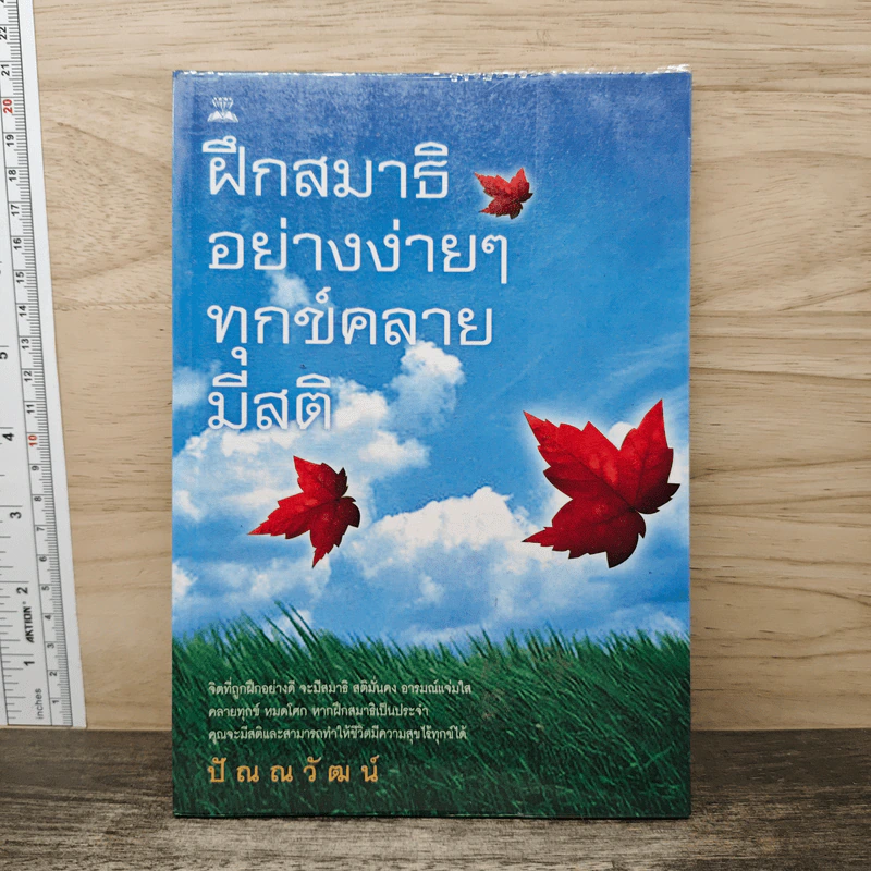 ฝึกสมาธิอย่างง่ายๆ ทุกข์คลาย มีสติ - ปัณณวัฒน์ รูปที่ 1