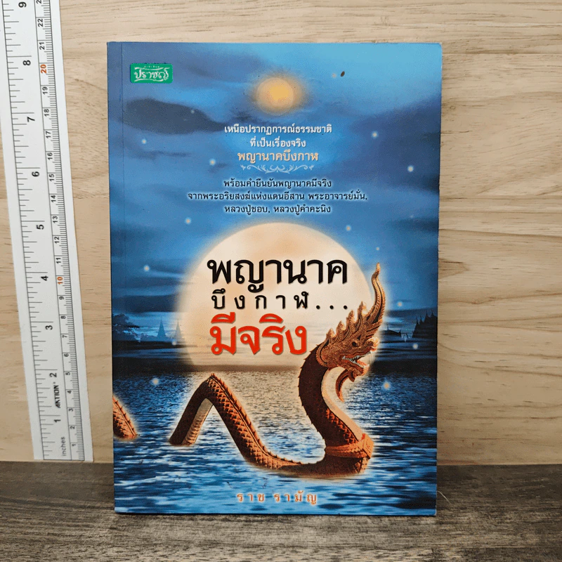 พญานาคบึงกาฬมีจริง รูปที่ 1