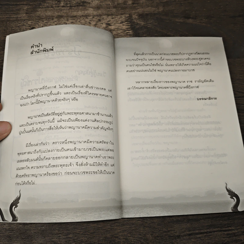 พญานาคบึงกาฬมีจริง รูปที่ 7