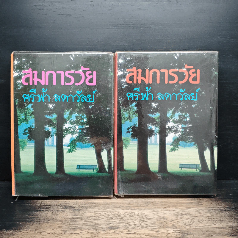 สมการวัย 2 เล่มจบ - ศรีฟ้า ลดาวัลย์ รูปที่ 1