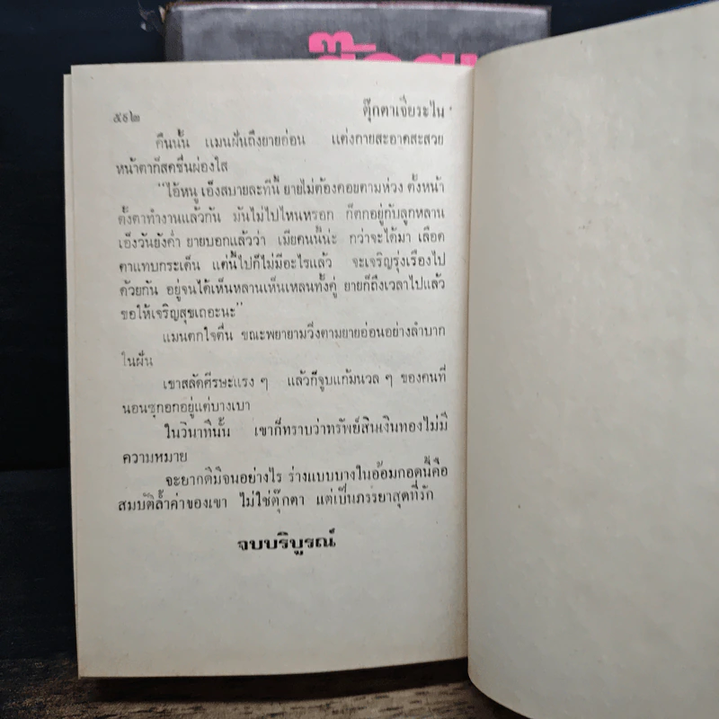 ตุ๊กตาเจียระไน 2 เล่มจบ - จามรี พรรณชมพู รูปที่ 9