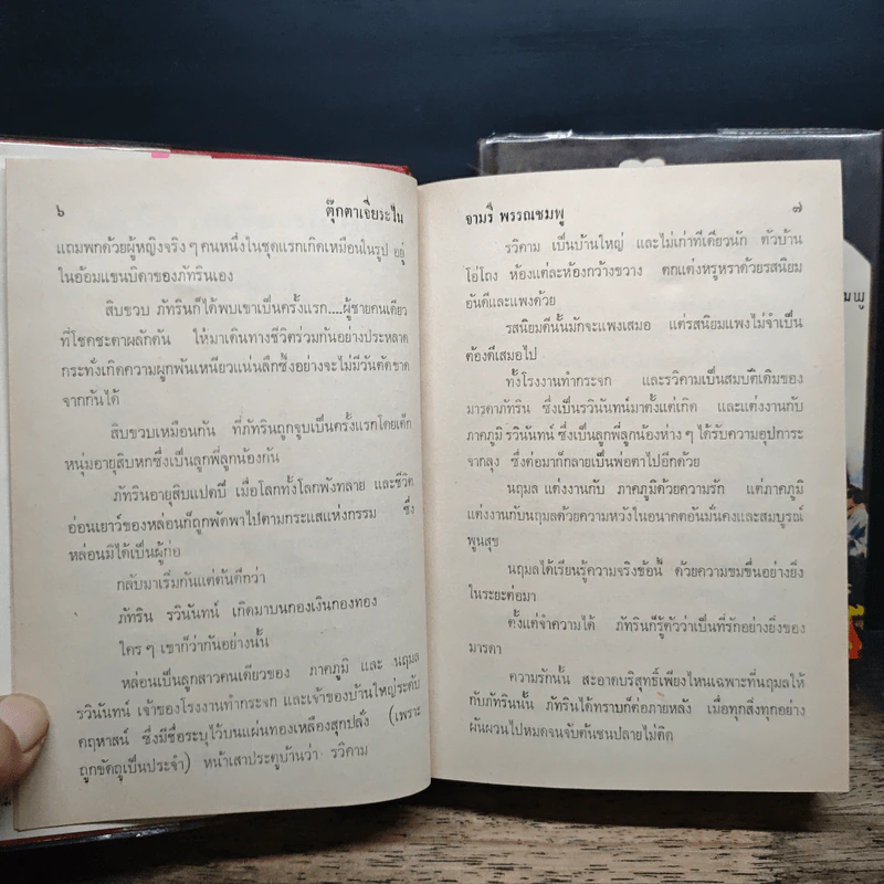 ตุ๊กตาเจียระไน 2 เล่มจบ - จามรี พรรณชมพู รูปที่ 8