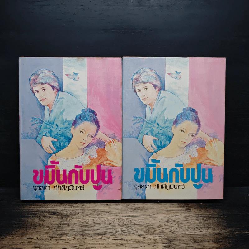 ขมิ้นกับปูน 2 เล่มจบ (ปกแข็ง) - จุลลดา ภักดีภูมินทร์ รูปที่ 1