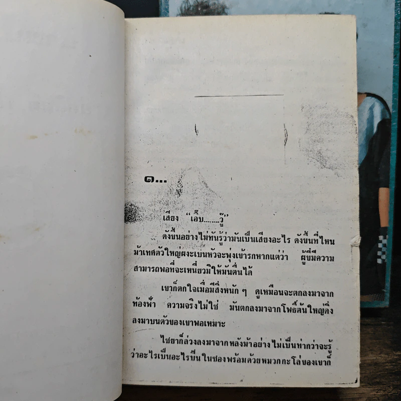 นางแมวป่า 2 เล่มจบ - ช่อลิลลี่ พริ้มเพรา รูปที่ 7