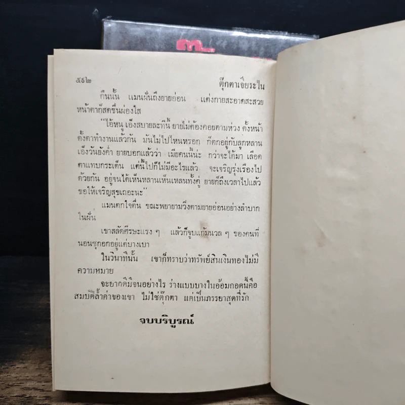 ตุ๊กตาเจียระไน 2 เล่มจบ - จามรี พรรณชมพู รูปที่ 9