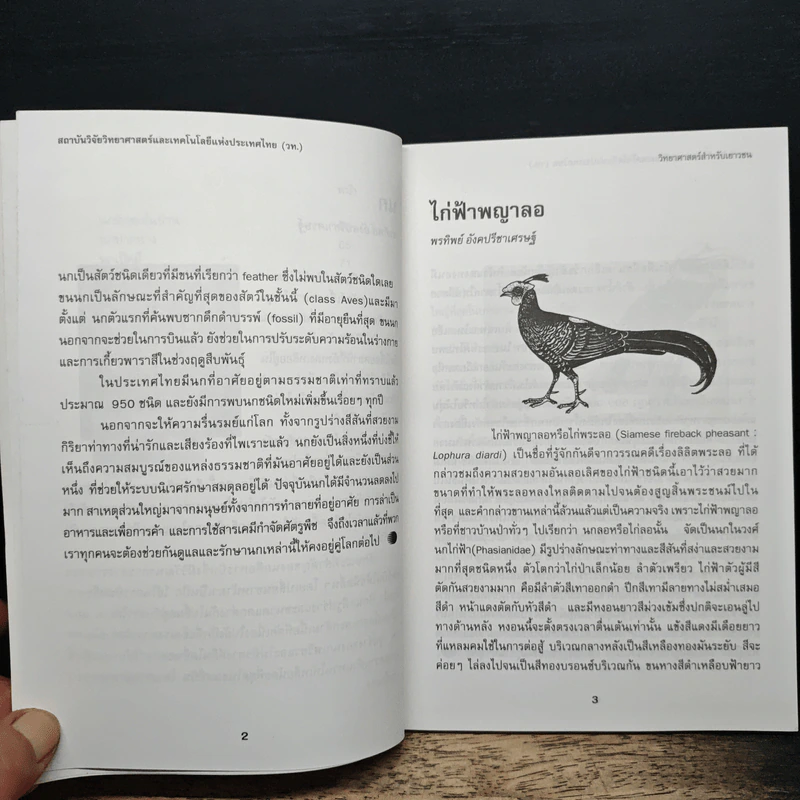 วิทยาศาสตร์สำหรับเยาวชน ชุด สัตว์น่ารู้ นก รูปที่ 9