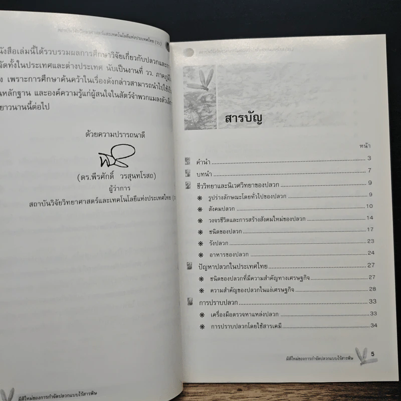 มิติใหม่ของการกำจัดปลวกแบบไร้สารพิษ รูปที่ 7