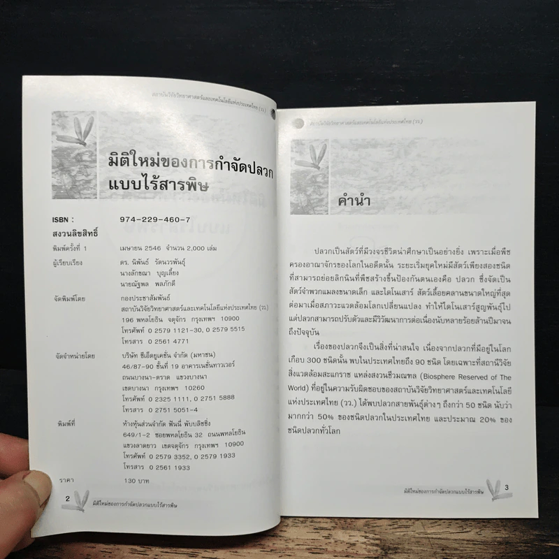 มิติใหม่ของการกำจัดปลวกแบบไร้สารพิษ รูปที่ 6