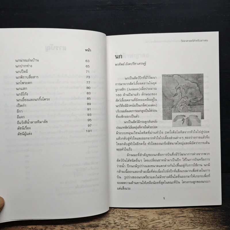 วิทยาศาสตร์สำหรับเยาวชน ชุด สัตว์น่ารู้ นก รูปที่ 8