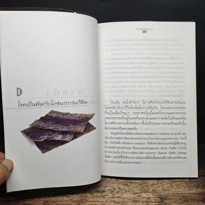 ปั้นชีวิตใหม่ด้วยชีวจิต เล่ม 3 - สาทิส อินทรกำแหง รูปที่ 8