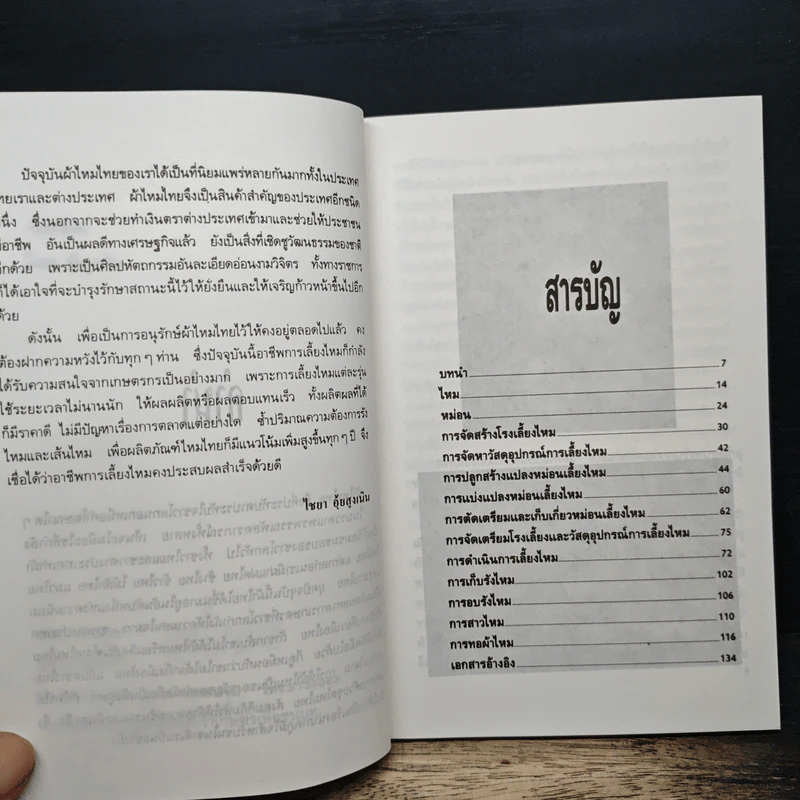หม่อมและไหม - ไชยา อุ้ยสูงเนิน รูปที่ 7