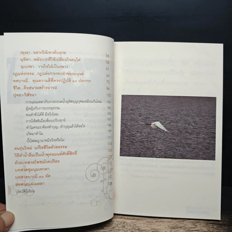 Format จิต Delete อารมณ์ - ปิยโสภณ รูปที่ 8
