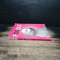Dog's Story: Poodle รูปที่ 3