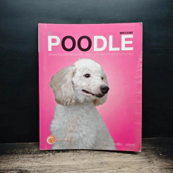 Dog's Story: Poodle รูปที่ 1