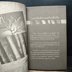 The Top Secret เดอะท็อปซีเคร็ต - ทันตแพทย์สม สุจีรา รูปที่ 8