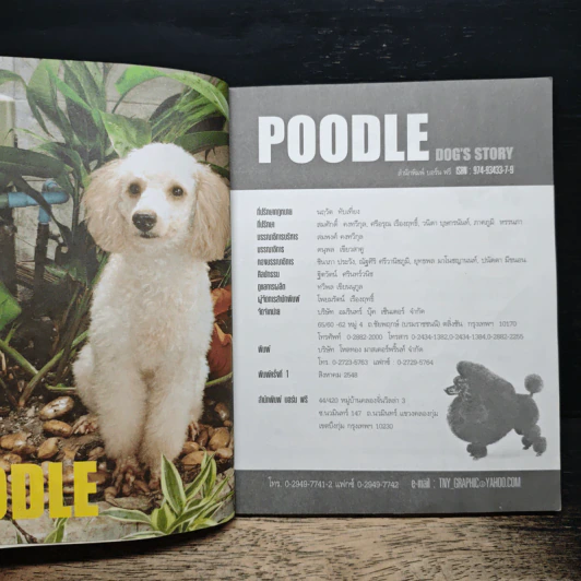 Dog's Story: Poodle รูปที่ 6