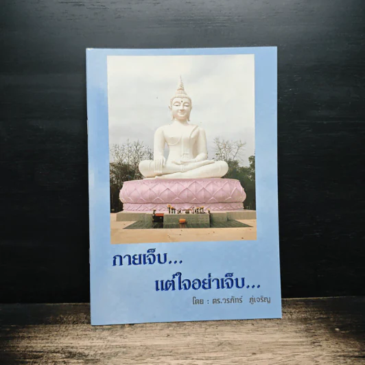 กายเจ็บแต่ใจอย่าเจ็บ - ดร.วรภัทร์ ภู่เจริญ รูปที่ 1