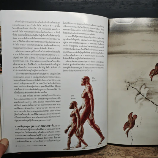 NATIONAL GEOGRAPHIC ไขปริศนากำเนิดมนุษย์ รูปที่ 8