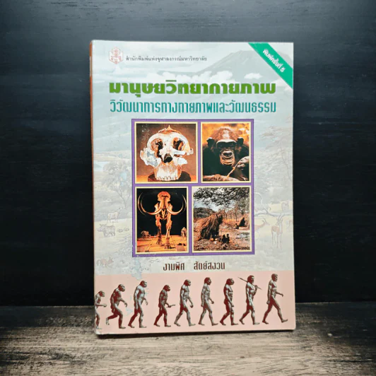 มานุษยวิทยากายภาพ วิวัฒนาการทางกายภาพและวัฒนธรรม - งามพิศ สัตย์สงวน รูปที่ 1