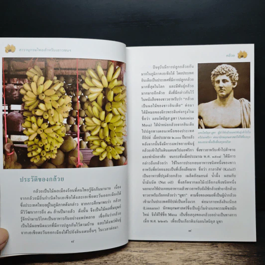 สารานุกรมไทยสำหรับเยาวชน โดยพระราชประสงค์ในพระบาทสมเด็จพระเจ้าอยู่หัว เล่ม 10 รูปที่ 8