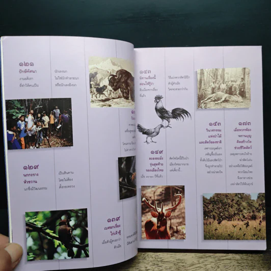 ธรรมชาตินานาสัตว์ เล่ม 3 - น.พ.บุญส่ง เลขะกุล รูปที่ 9