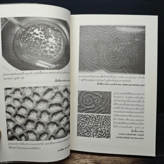 ปัญญารวมหมู่ : The Perfect Swarm - Len Fisher รูปที่ 7