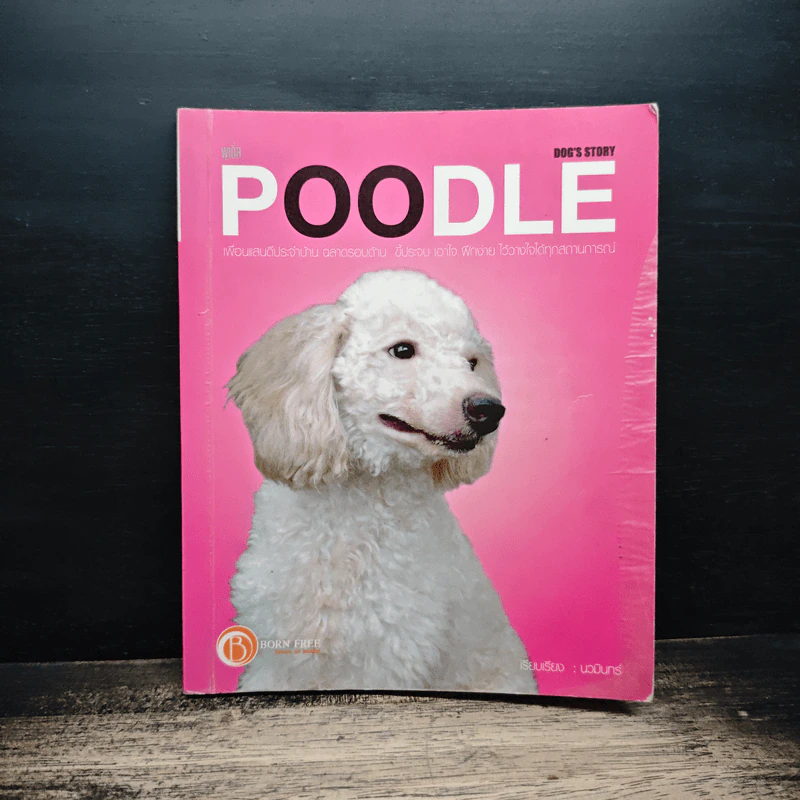 Dog's Story: Poodle รูปที่ 1