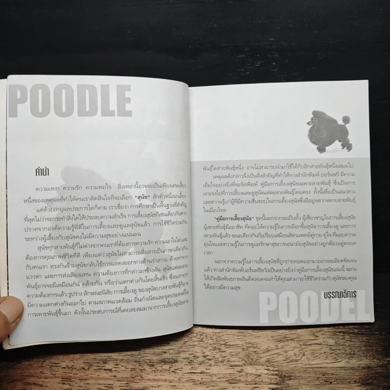 Dog's Story: Poodle รูปที่ 7