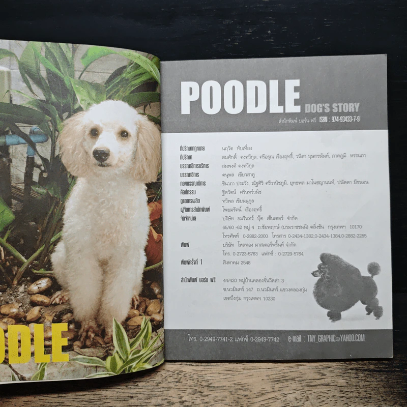 Dog's Story: Poodle รูปที่ 6