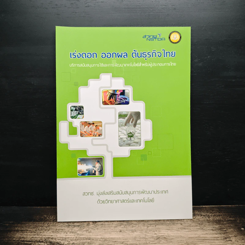 เร่งดอก ออกผล ต้นธุรกิจไทย รูปที่ 1