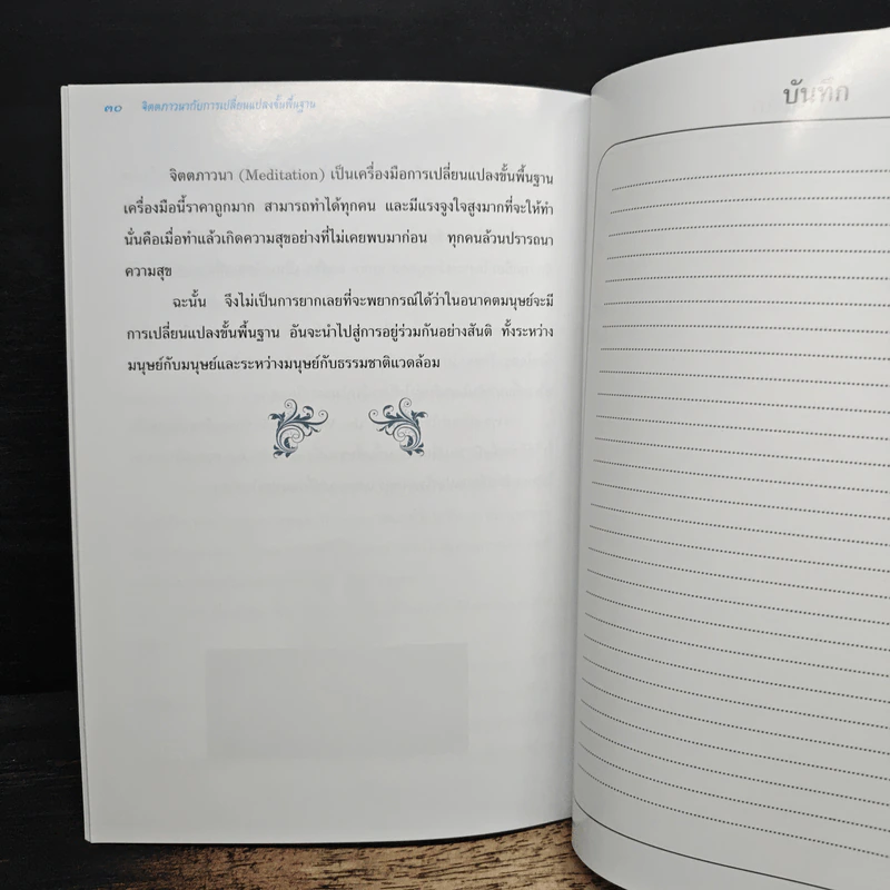 จิตตภาวนากับการเปลี่ยนแปลงขั้นพื้นฐาน - ประเวศ วะสี รูปที่ 9