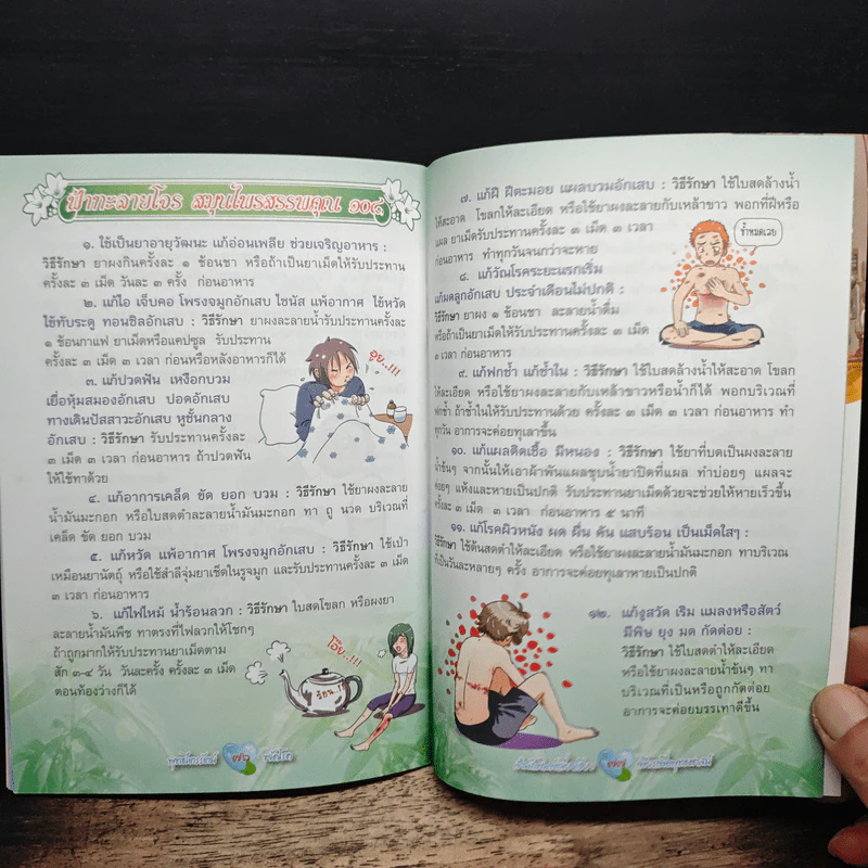 พุทธไตรรัตน์ ขจัดโรค รูปที่ 10