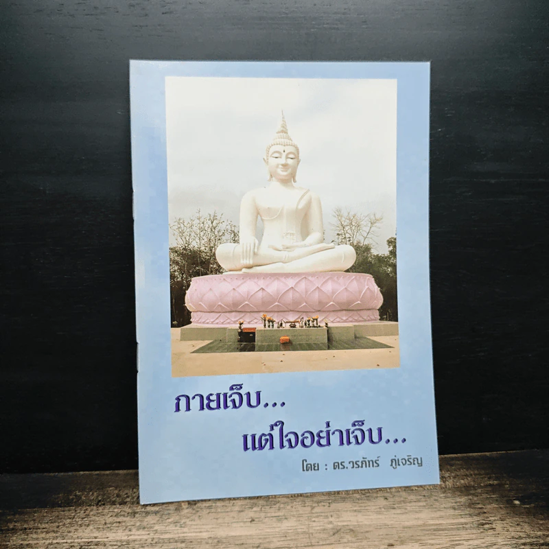 กายเจ็บแต่ใจอย่าเจ็บ - ดร.วรภัทร์ ภู่เจริญ รูปที่ 1