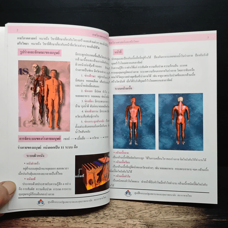 คู่มือปฐมพยาบาล - สภากาชาดไทย รูปที่ 12