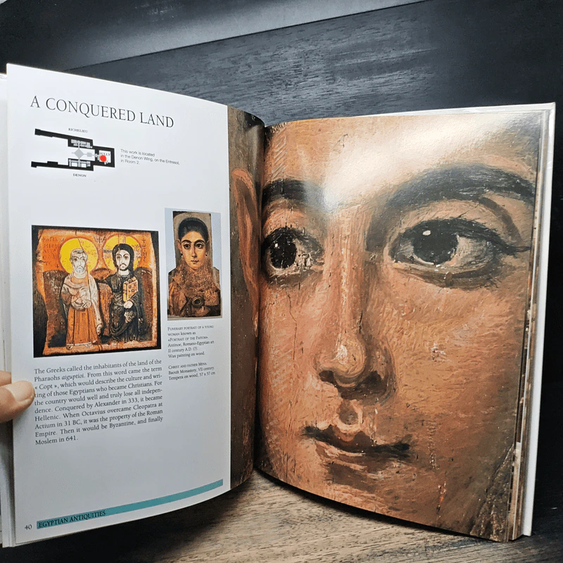 Your Visit to the Louvre รูปที่ 8