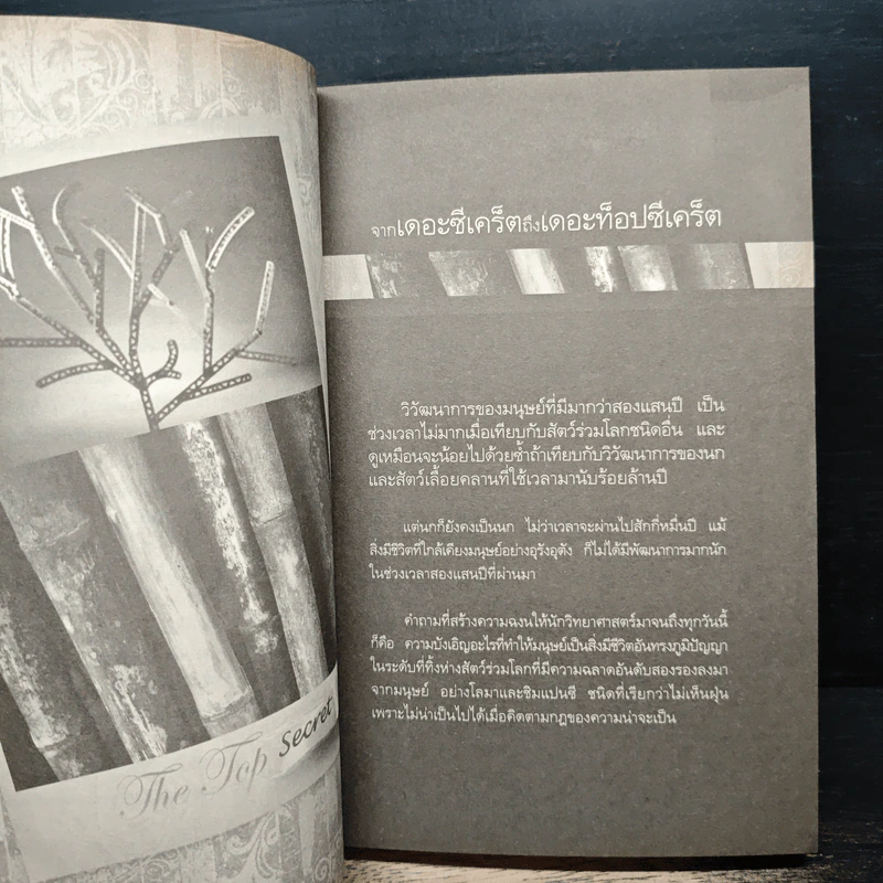 The Top Secret เดอะท็อปซีเคร็ต - ทันตแพทย์สม สุจีรา รูปที่ 8