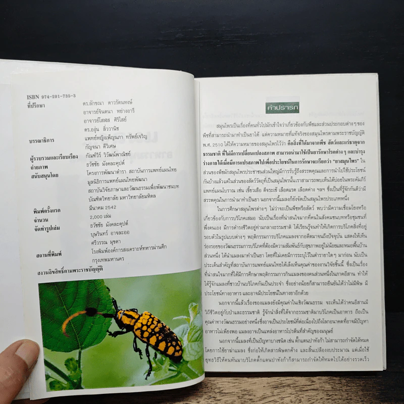 แมลง อาหารมนุษย์ในอนาคต รูปที่ 6