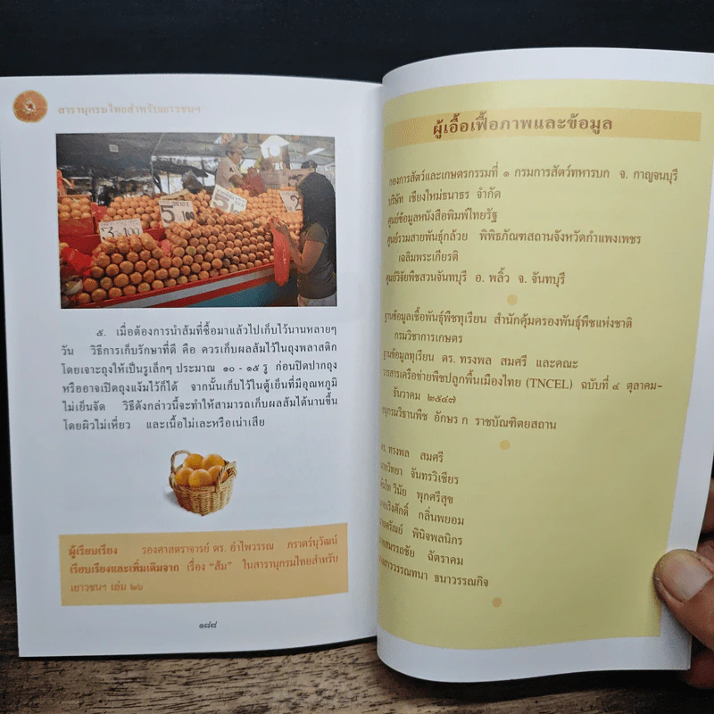 สารานุกรมไทยสำหรับเยาวชน โดยพระราชประสงค์ในพระบาทสมเด็จพระเจ้าอยู่หัว เล่ม 10 รูปที่ 9