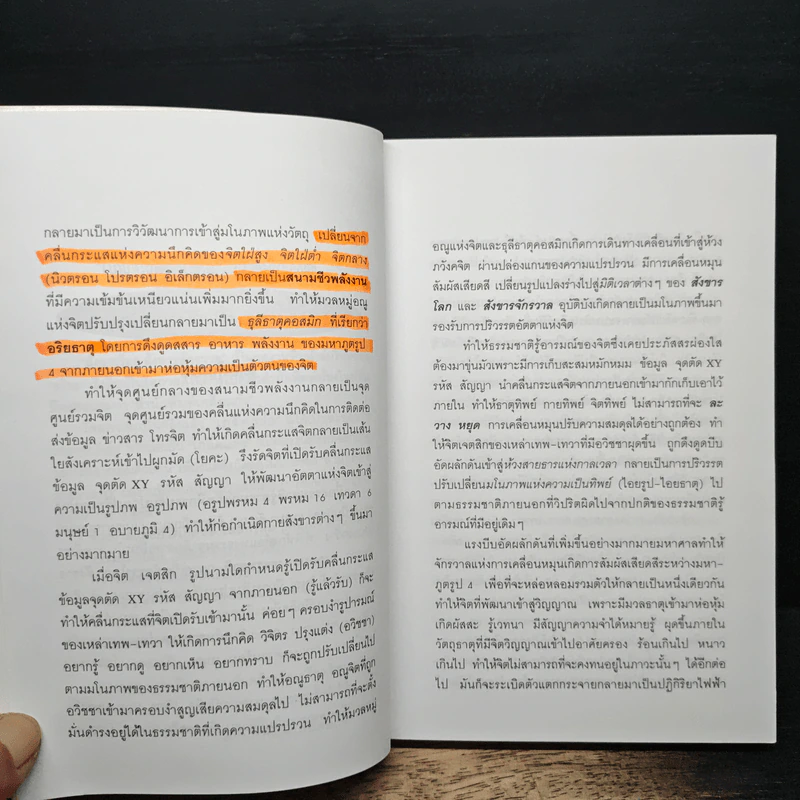 สังขารโลกสังขารจักรวาล - อริยะ รูปที่ 8