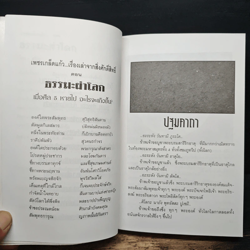 ธรรมะผ่าโลก - อริยะ รูปที่ 8