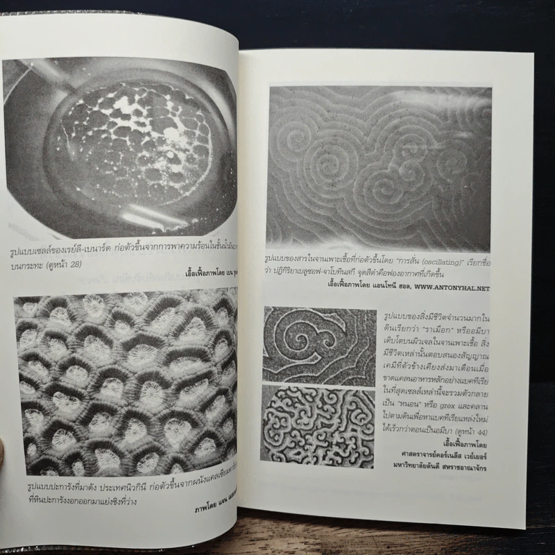 ปัญญารวมหมู่ : The Perfect Swarm - Len Fisher รูปที่ 7