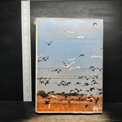 Ecological Studies for Conservation of Shore Birds in Songkhla Lake, Volume 1