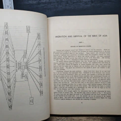 Migration & Survival of the Birds of Asia - H. Elliott McClure รูปที่ 9